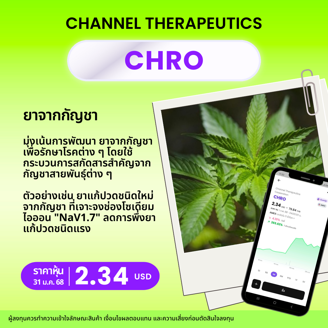 New Template  หุ้นยาจิ๋ว.zip   5 (1)