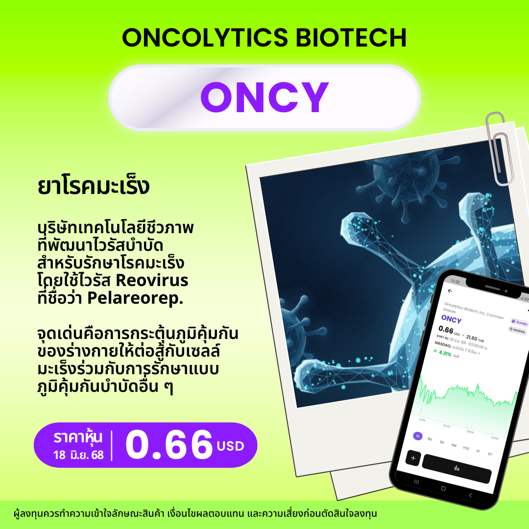 New Template  หุ้นยาจิ๋ว.zip   4