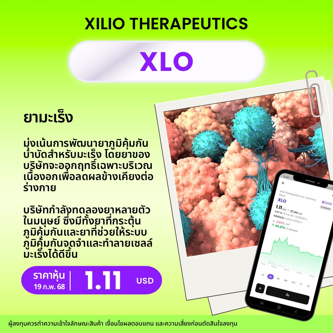 New Template  หุ้นยาจิ๋ว   6