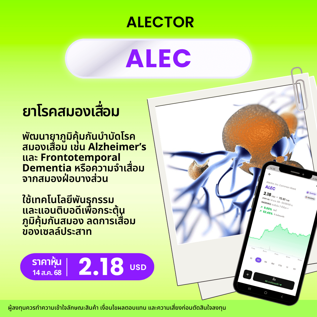 New Template  หุ้นยาจิ๋ว.zip   3 Min