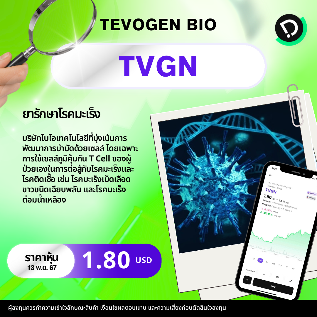 New Template  หุ้นยาจิ๋ว.zip   3