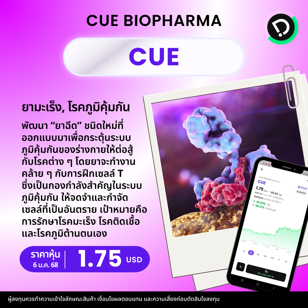 New Template  หุ้นยาจิ๋ว.zip   19