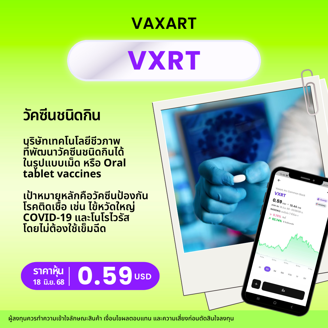 New Template  หุ้นยาจิ๋ว.zip   3